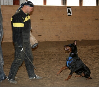 Training in Estonia 11/2007